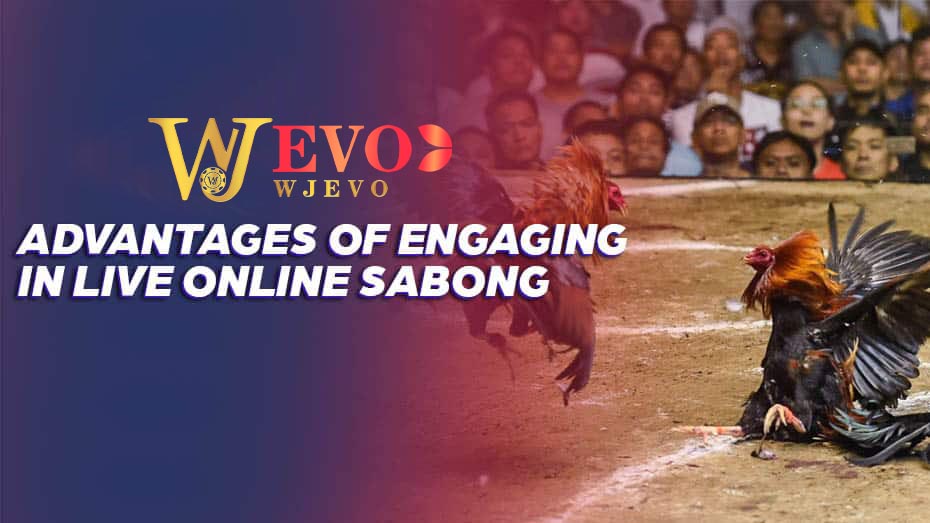 Advantages of Engaging in Live Online Cockfighting