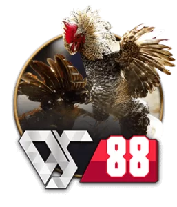 wjevo cooperation platform ds88